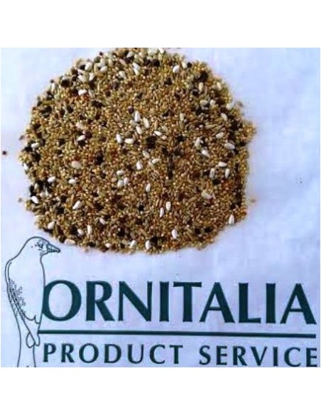 MISCELA PARROCCHETTI SENZA GIRASOLE