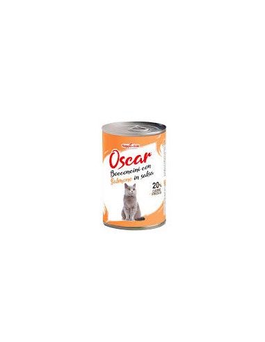 RAGGIO DI SOLE OSCAR GATTO ADULTO BOCCONCINI IN...