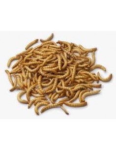 TARME DELLA FARINA 50gr