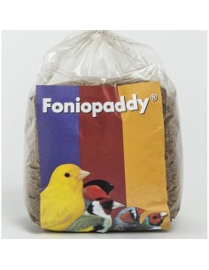 FONIOPADDY