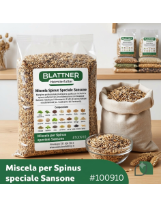 BLATTNER MISCELA PER SPINUS SPECIALE SANSONE 2