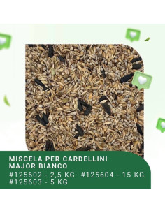 MISCELA CARDELLINI MAJOR BIANCO BLATTNER