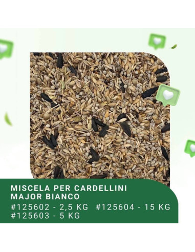 MISCELA CARDELLINI MAJOR BIANCO BLATTNER