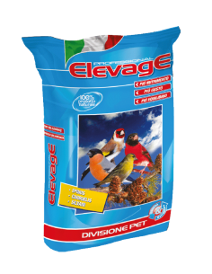 CARDILL RIPRO E CANTO