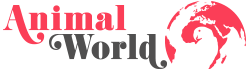 Animal World